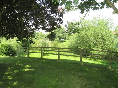 Picture 7